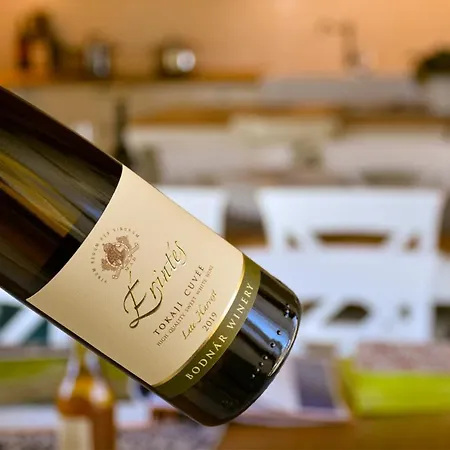 Lägenhet Erintes Vendeghaz Tállya